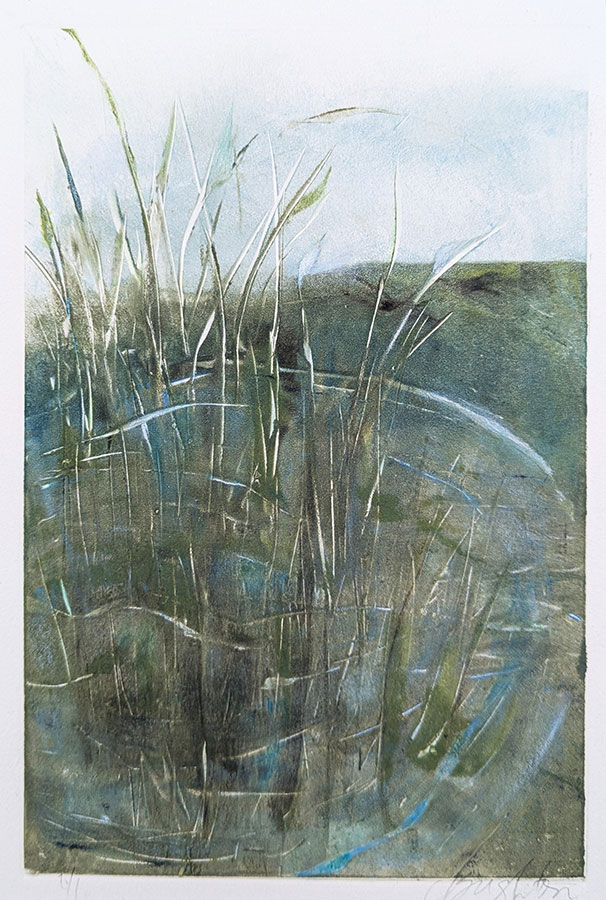 Pondside